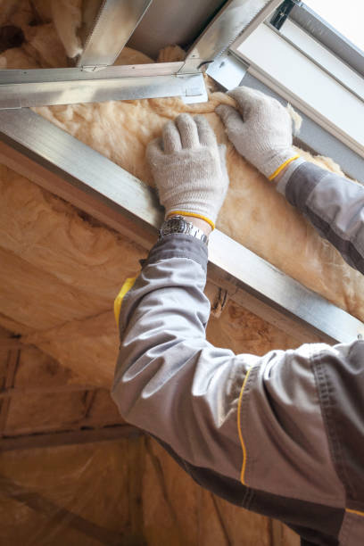 Best Garage Insulation  in Lapel, IN