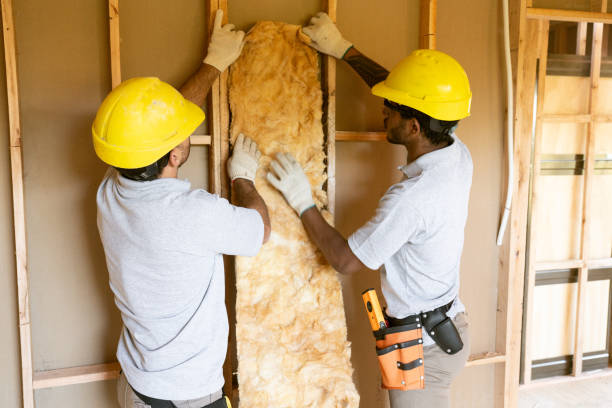 Best Attic Insulation Installation  in Lapel, IN